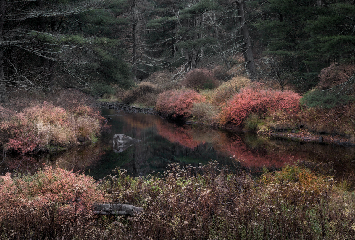 forestburgh stream