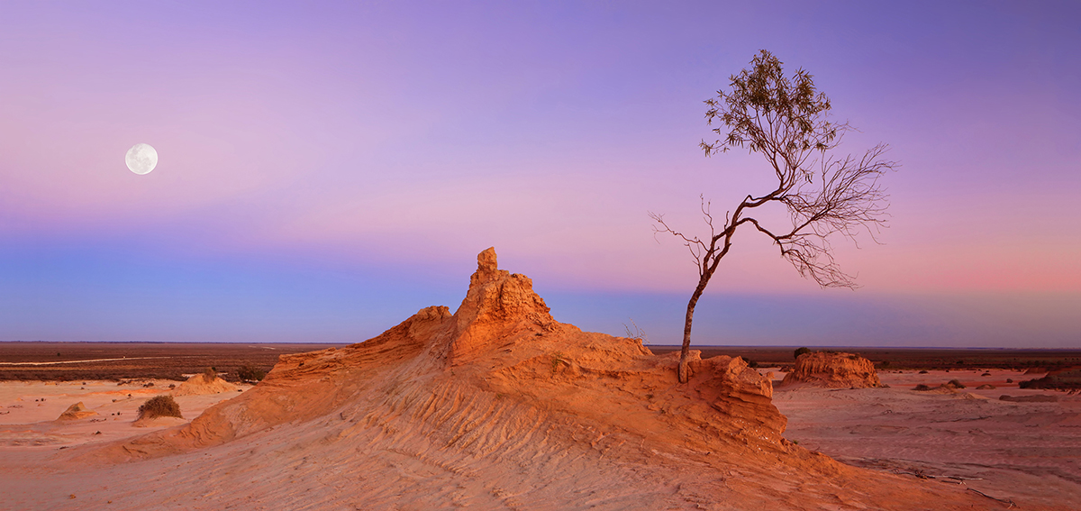 Desert Dawn