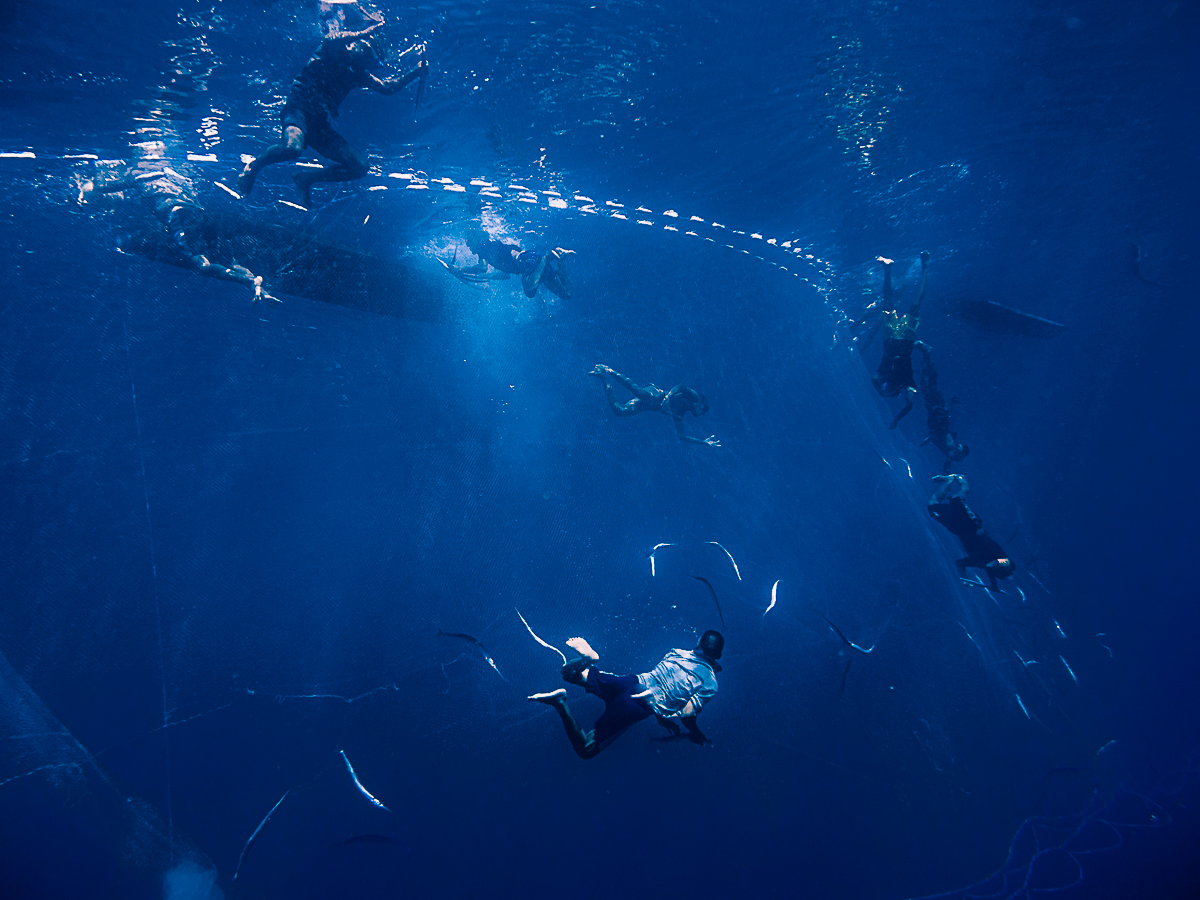De Profundis - An untold story of apnea Fishermen