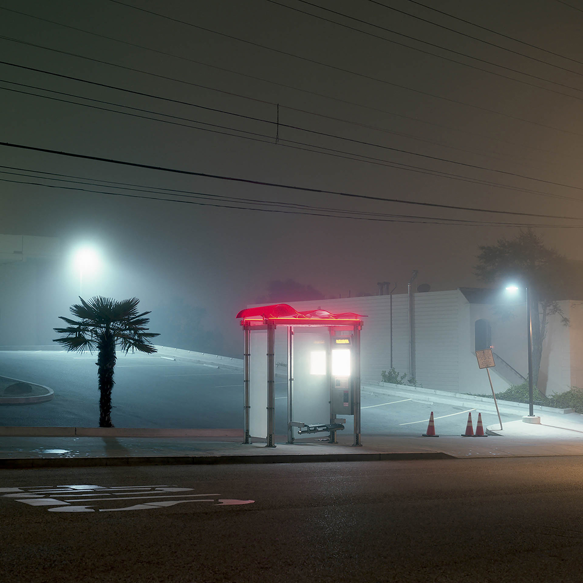 The Foggy Night