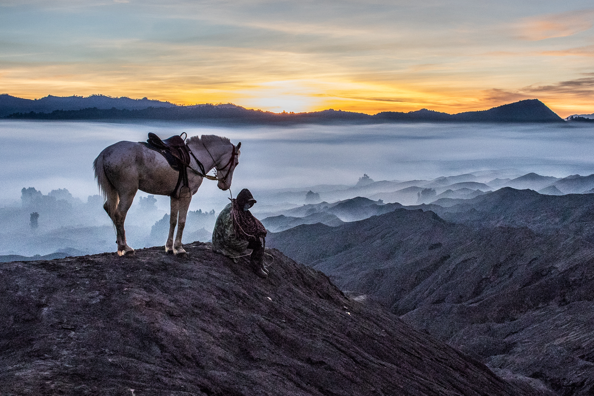 Man and Horse at Sunrise