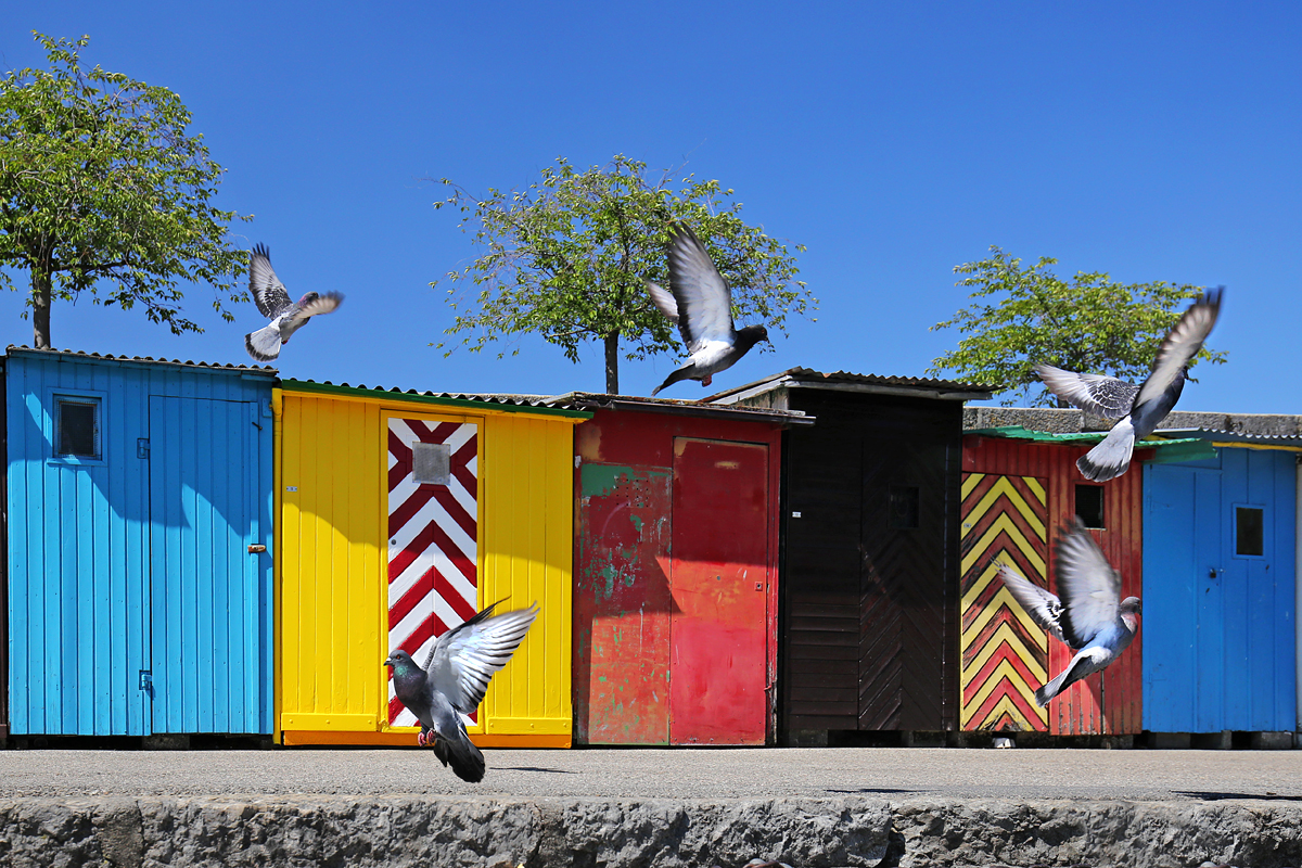 Colored Huts At The Harbor