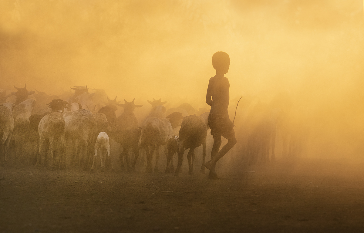 Goats in Dust and Sunrise