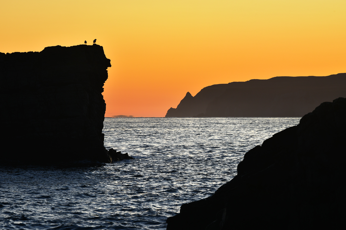 coastal silhouette