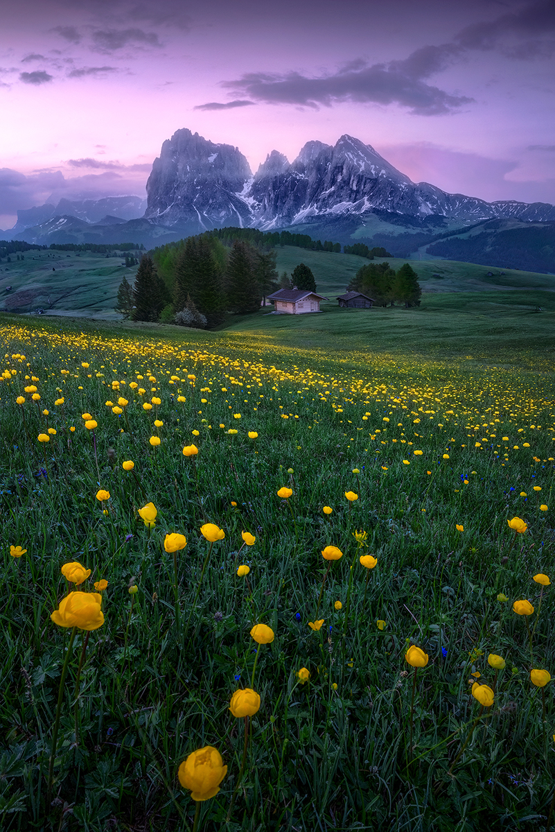 Magenta Riddim | Alpe di Siusi, Italy