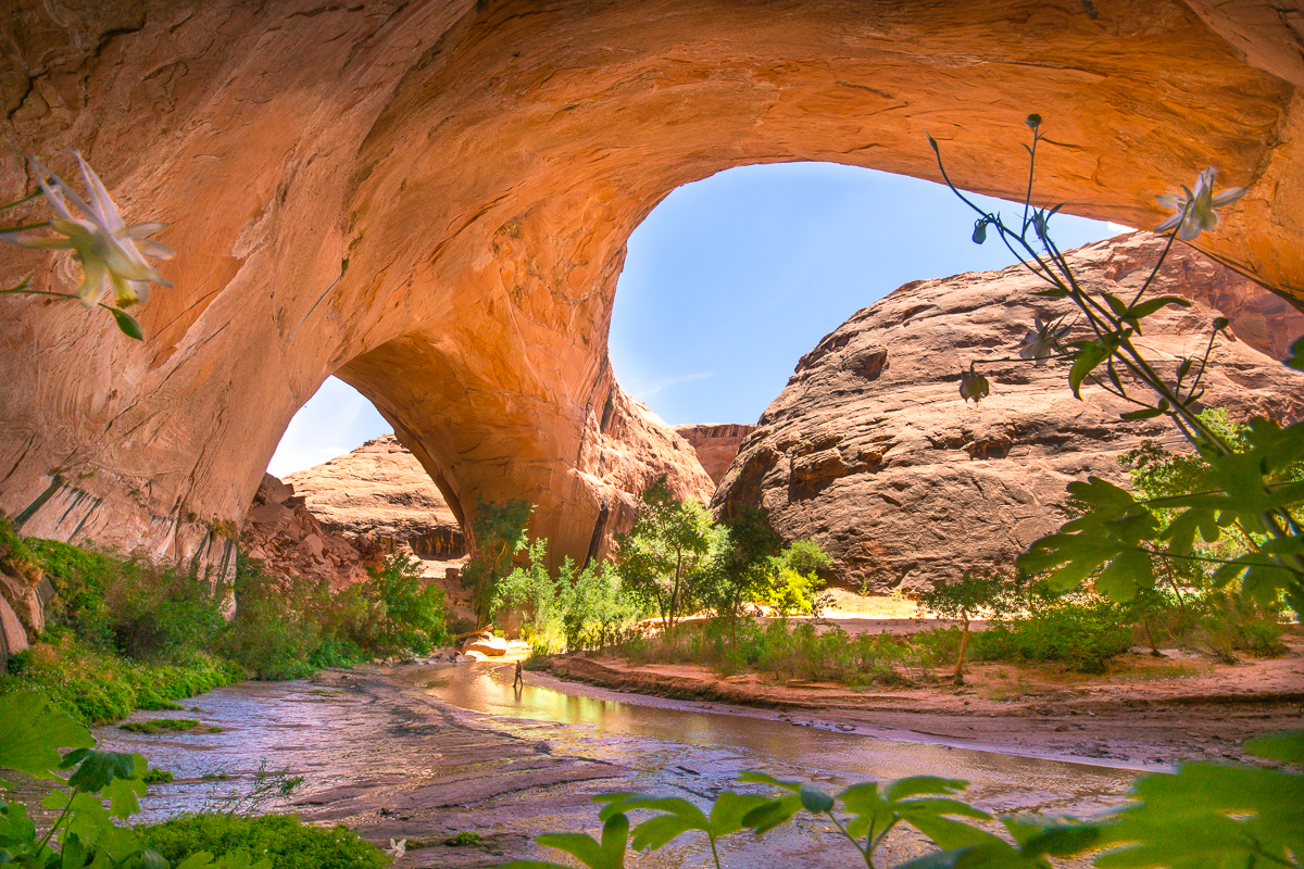 Crossing Coyote Gulch