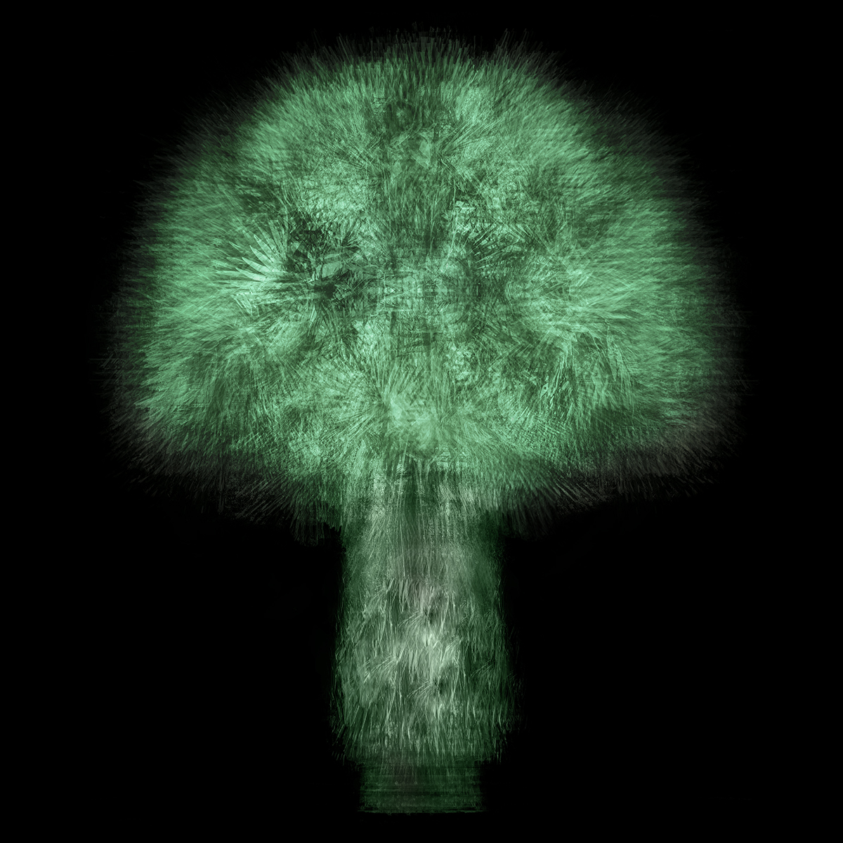 Multi-angled, Multi-opacity, 360-degree Tree
