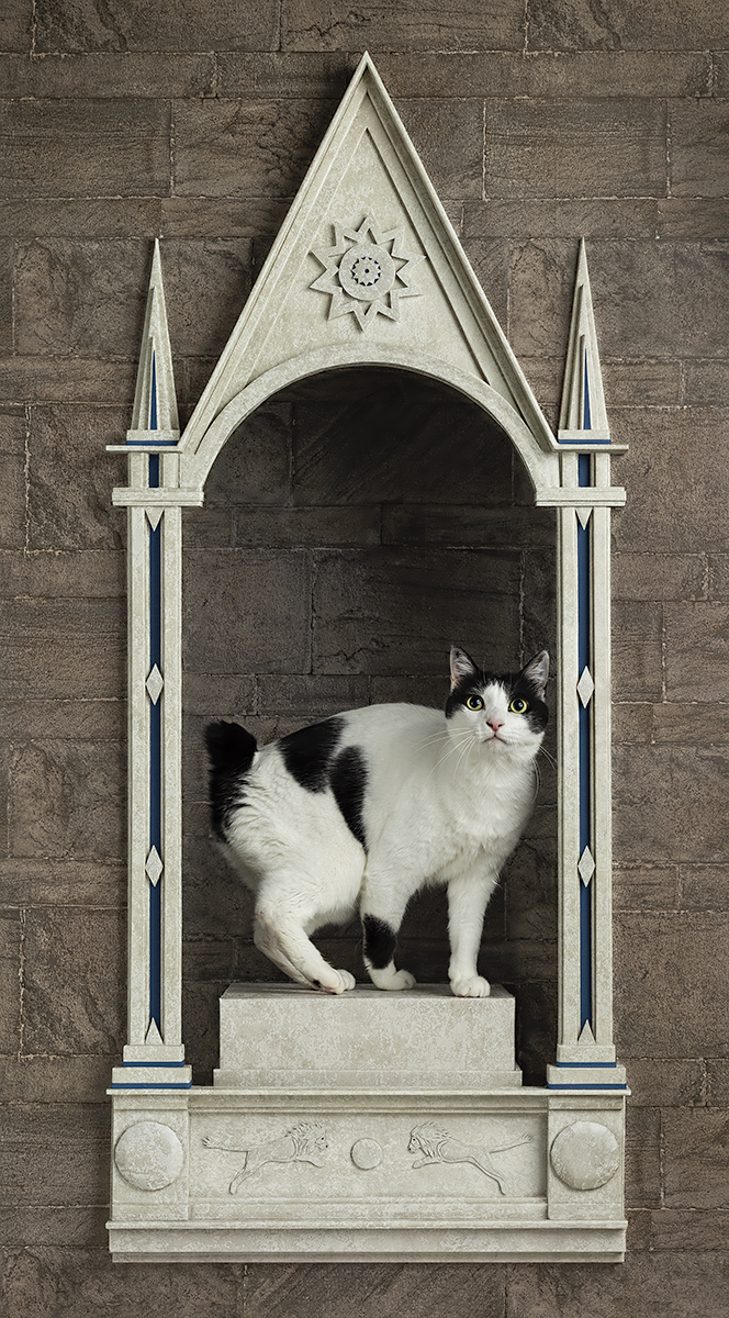 Italian architecture with a cat