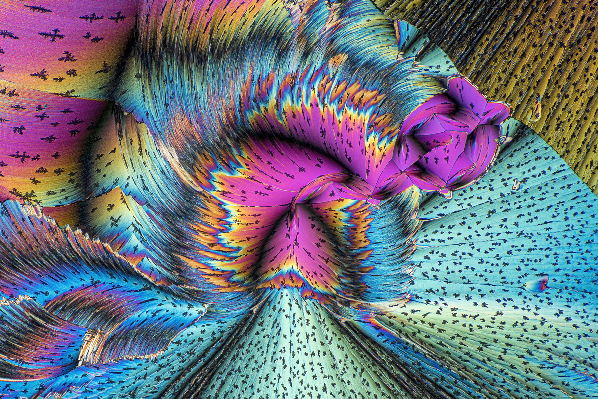 MICROCRYSTALS IN POLARIZED LIGHT, a mixture of urea and paracetamol, 