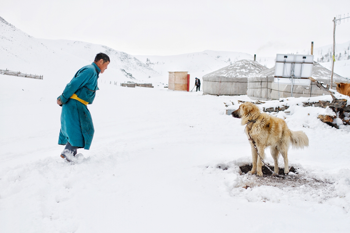 Nomadic Life. Mongolia