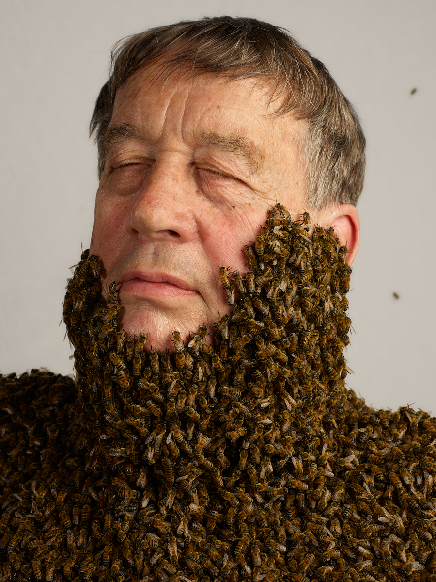 The Keeper of Bees