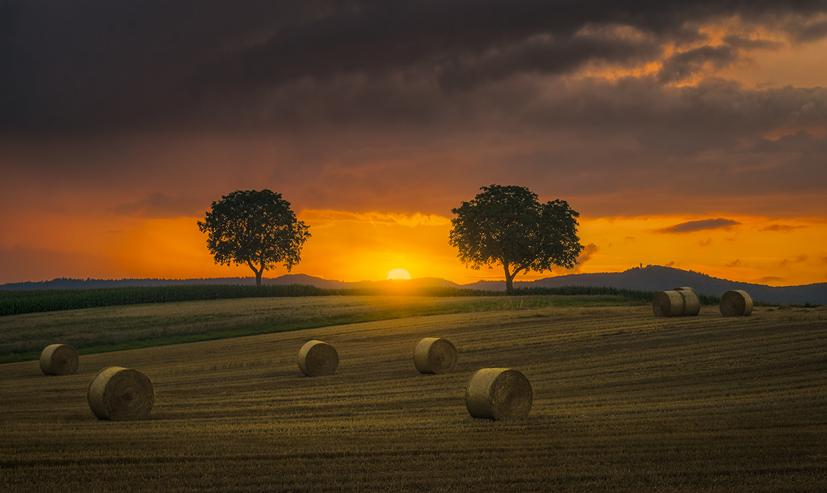 Baling Season