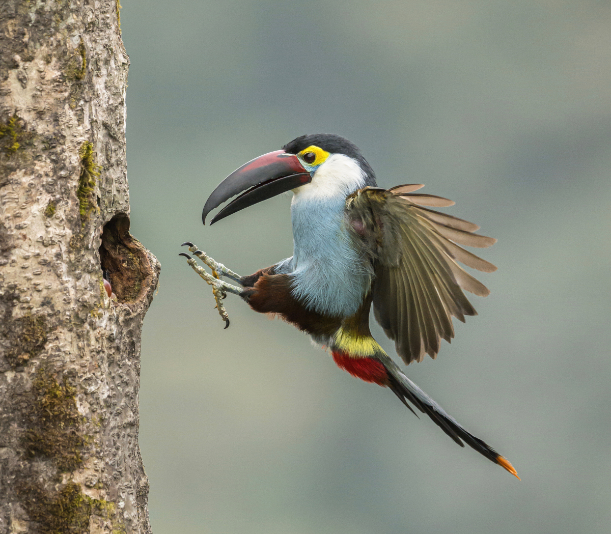 Colombia, Express Landing