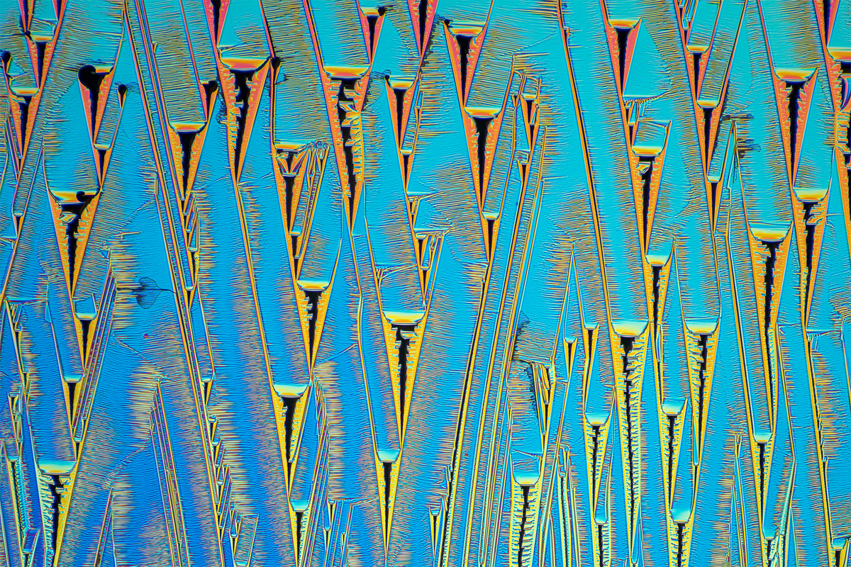 MICROCRYSTALS IN POLARIZED LIGHT, a mixture of urea and paracetamol.