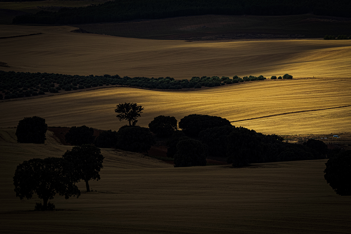 Fields of La Mancha