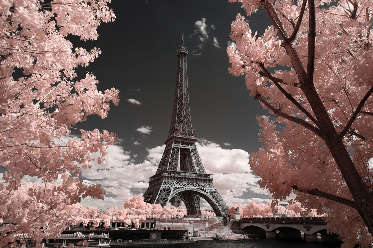 Paris and Dreams