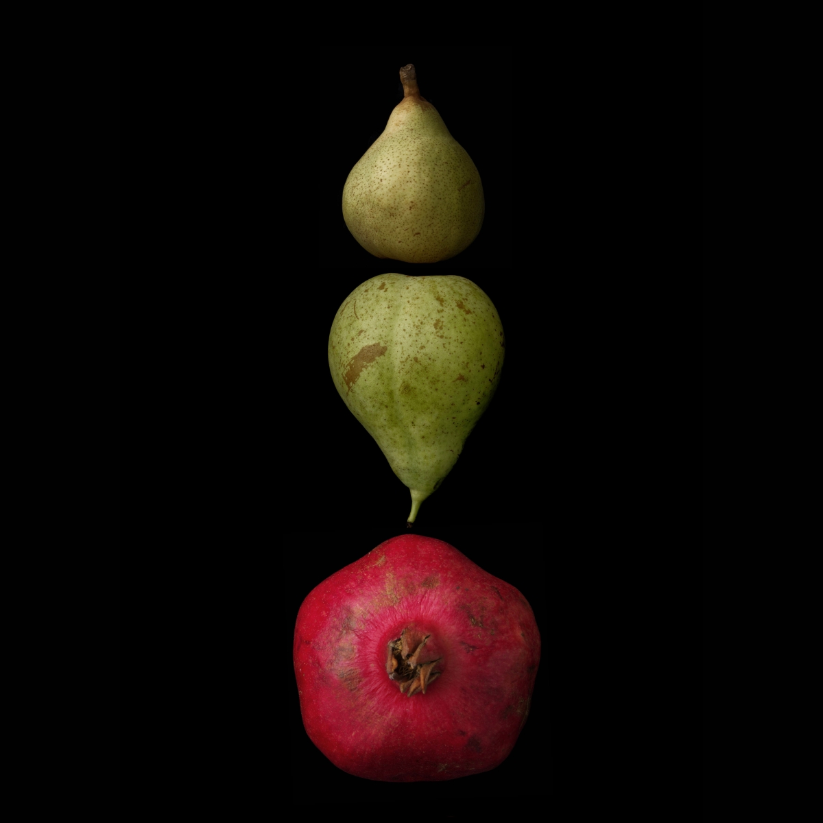 Portrait of Fruit: As a fruit farmer