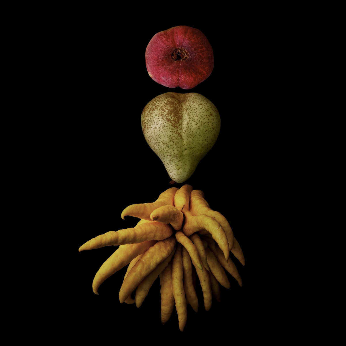 Portrait of Fruit: As a fruit farmer