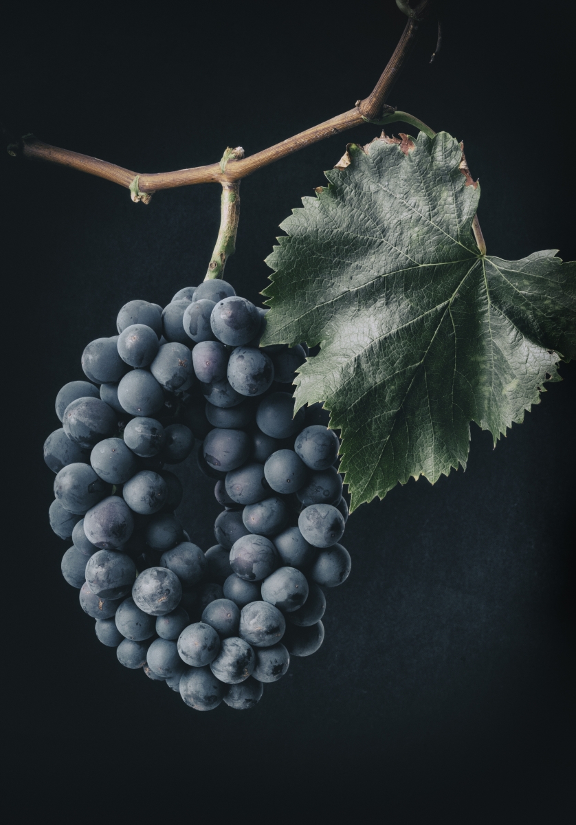 A farmer's wreath from his vineyard