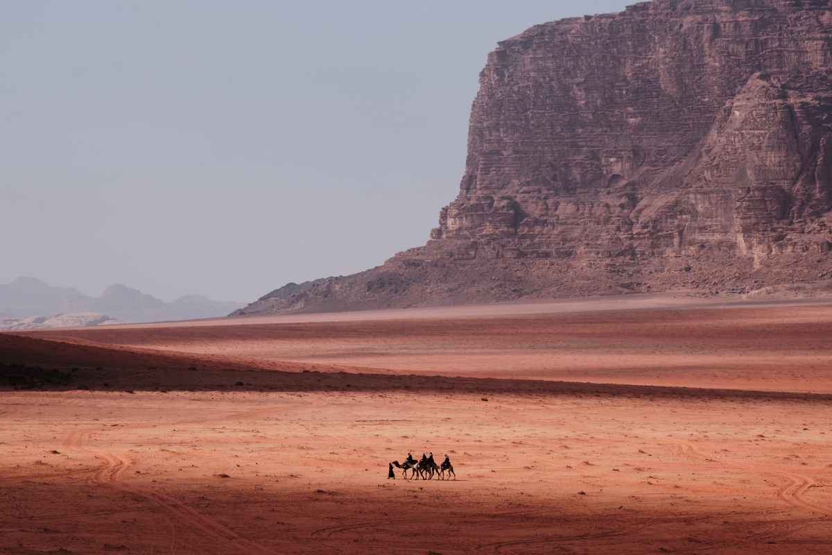 Caravan on Wadi Rum 