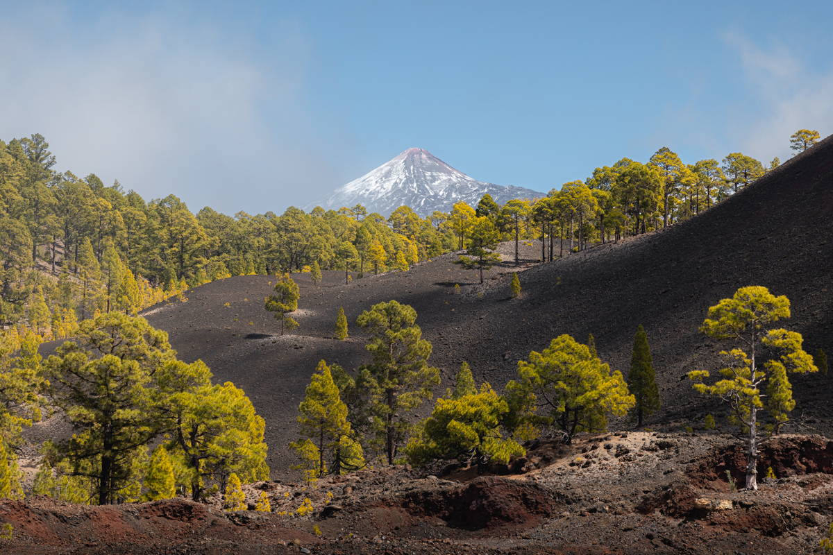 Teide