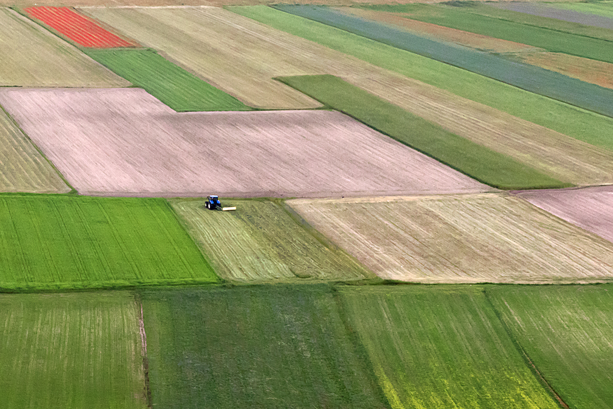 Patchwork of crops