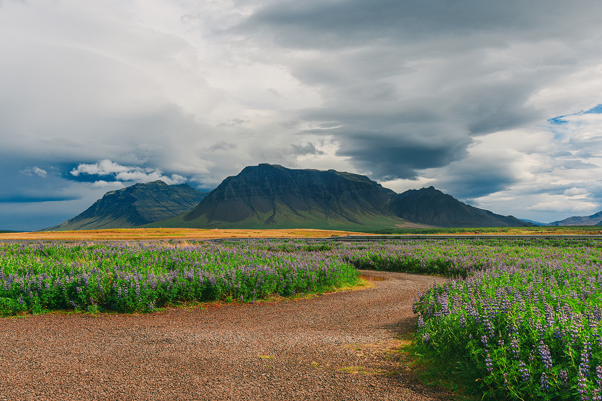 Road to Snæfellsnes