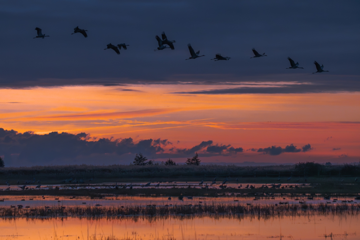 Sunrise over the salt pan