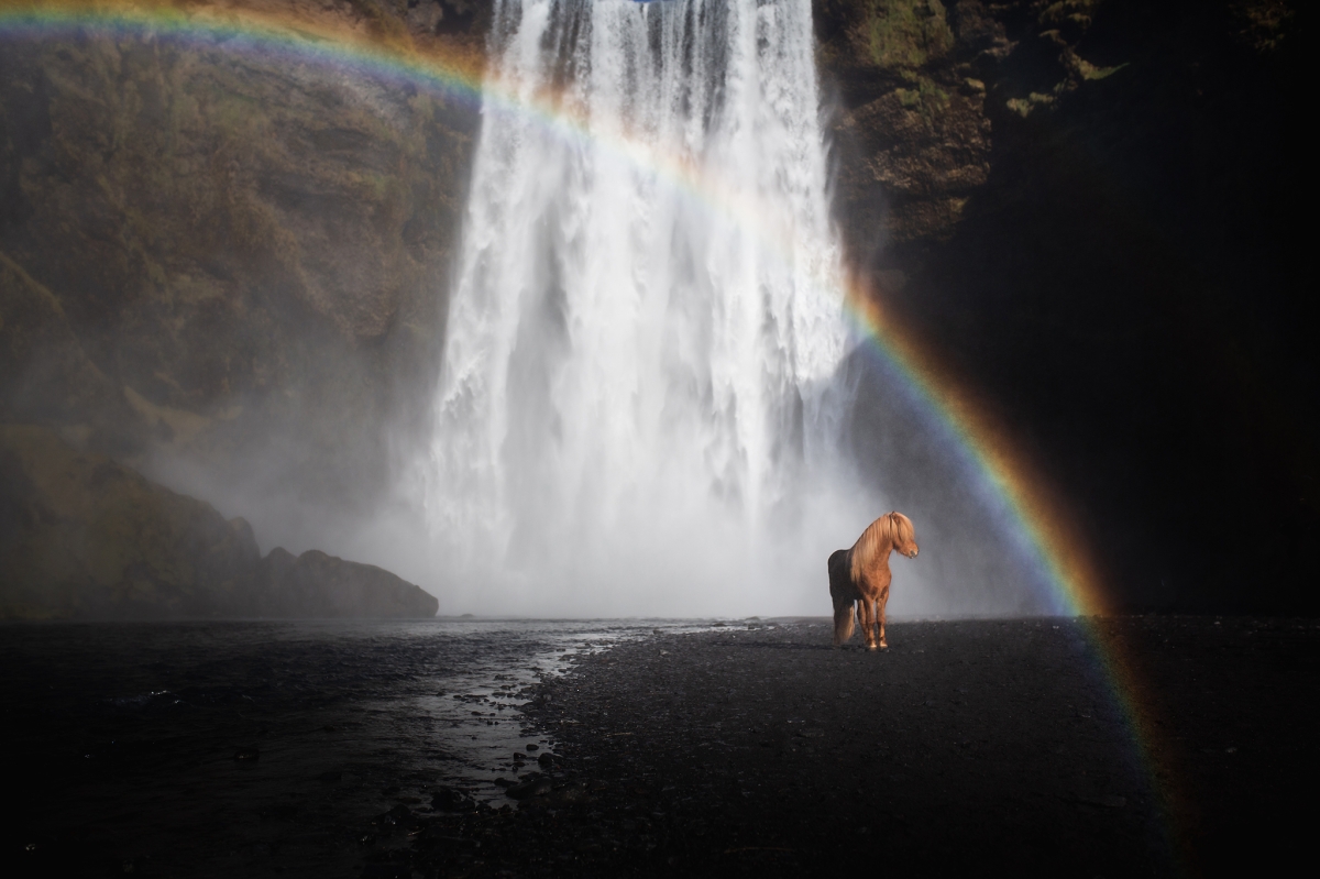 Treasure under the rainbow