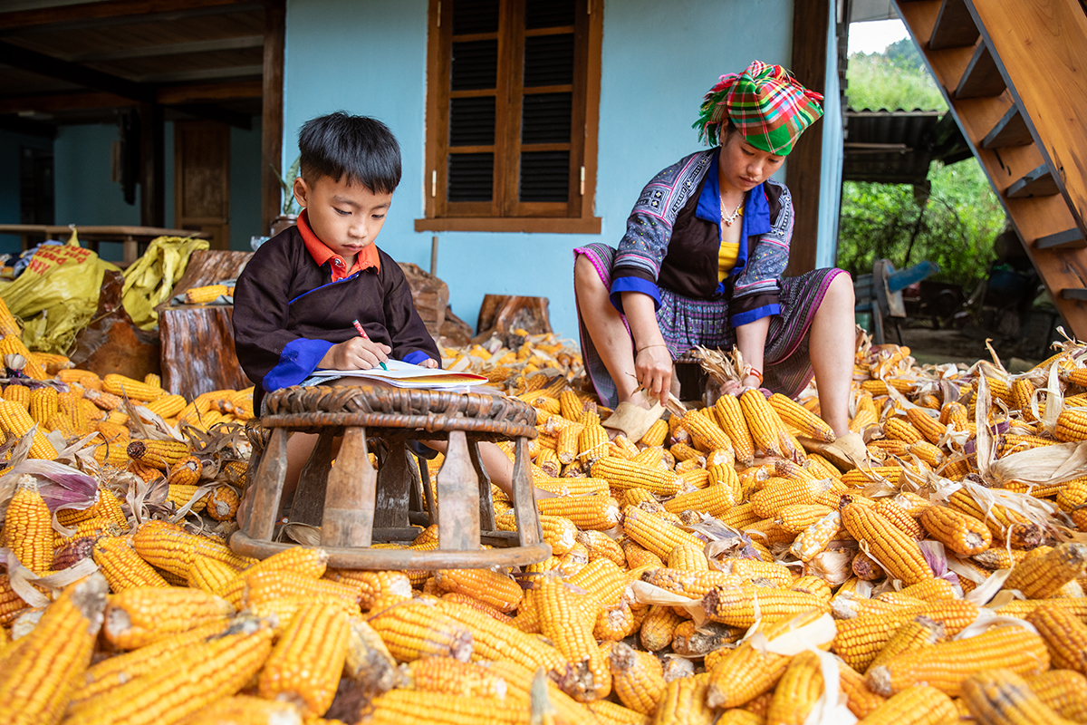 Vietnam's colors