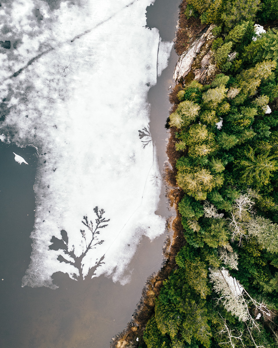 Les esquisses de dame nature