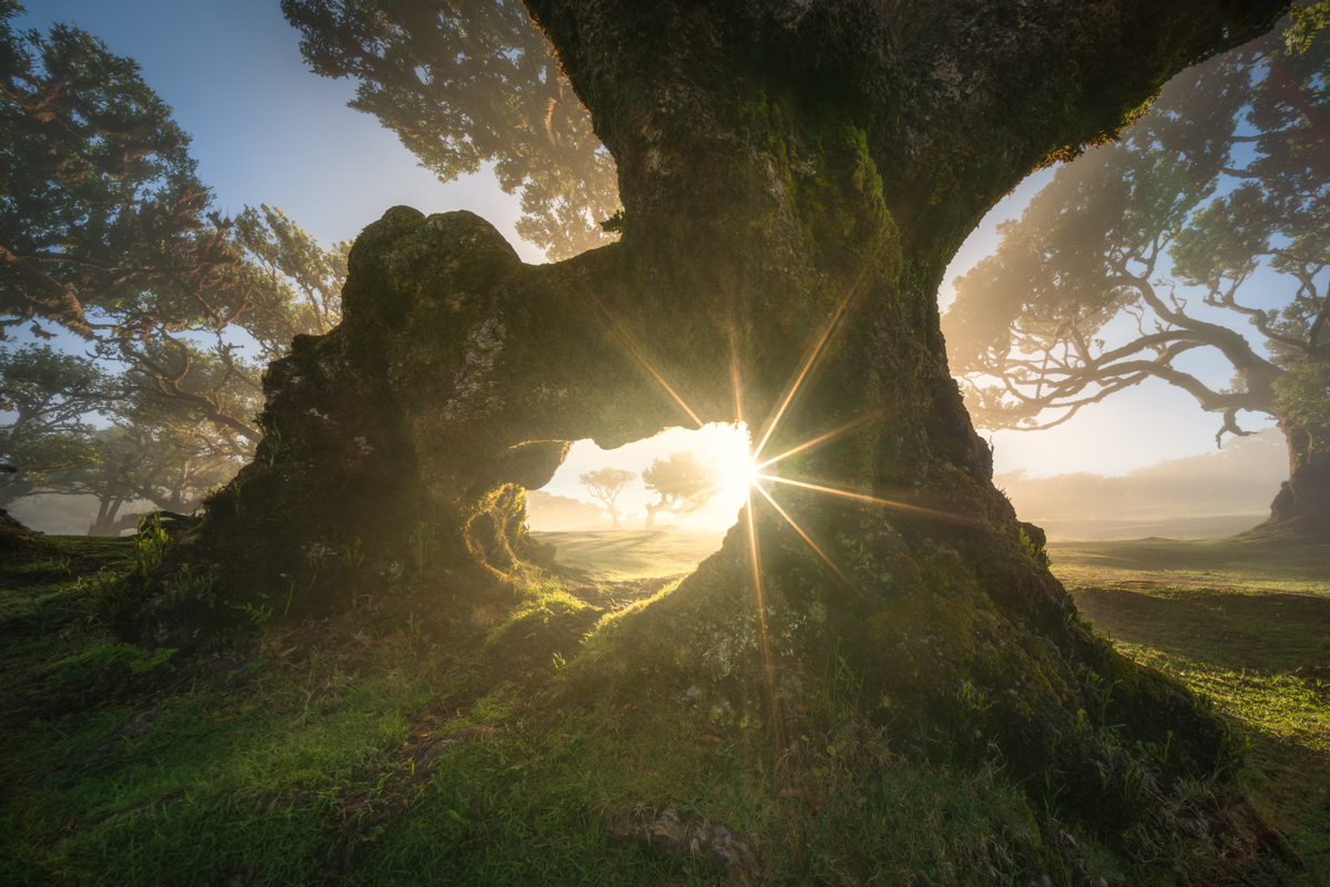 Witch's Window