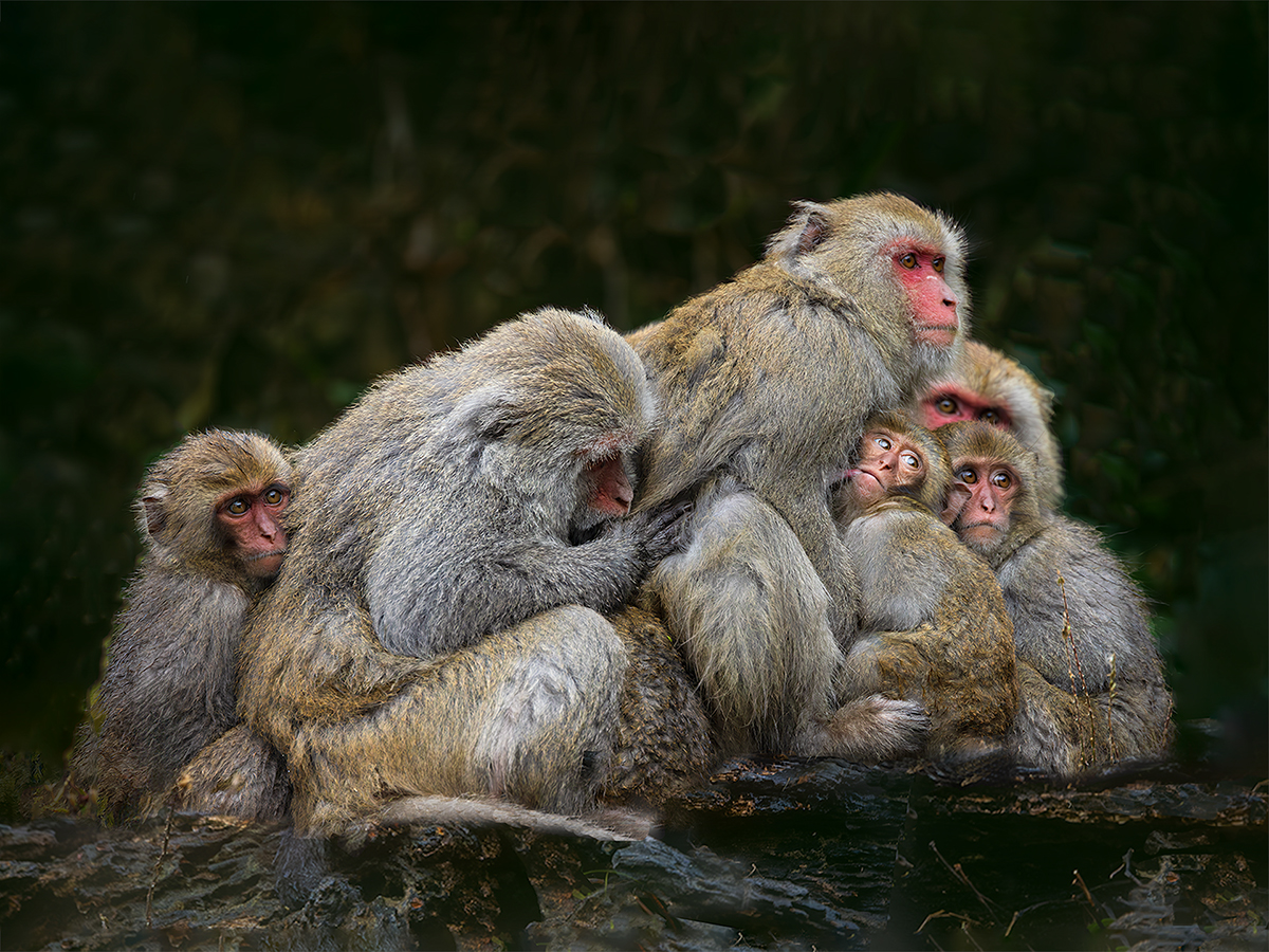 Group hugging for warmth