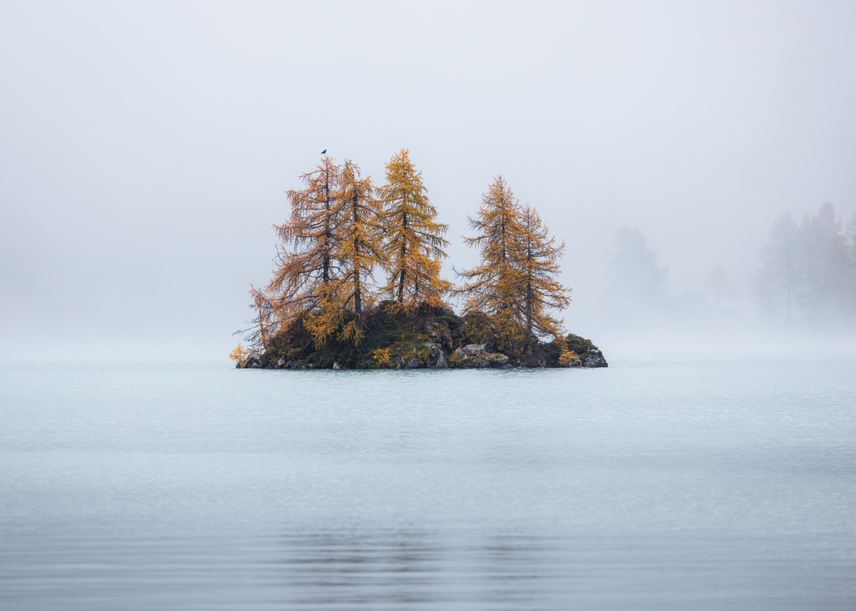 Islet in the Fog