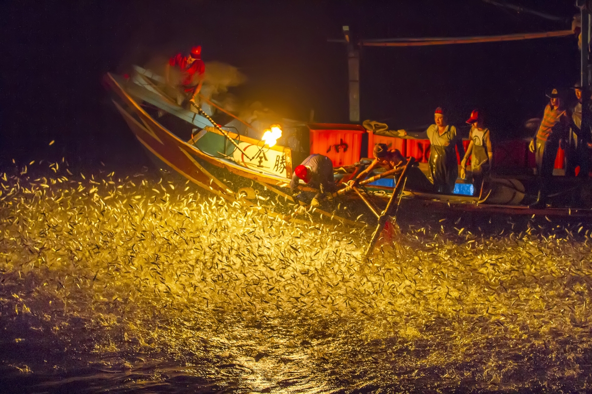 There are only a few sulfur fire fishing left 