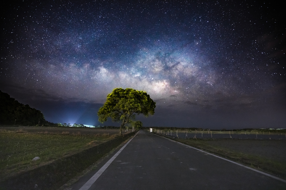 Milky Way on the tree