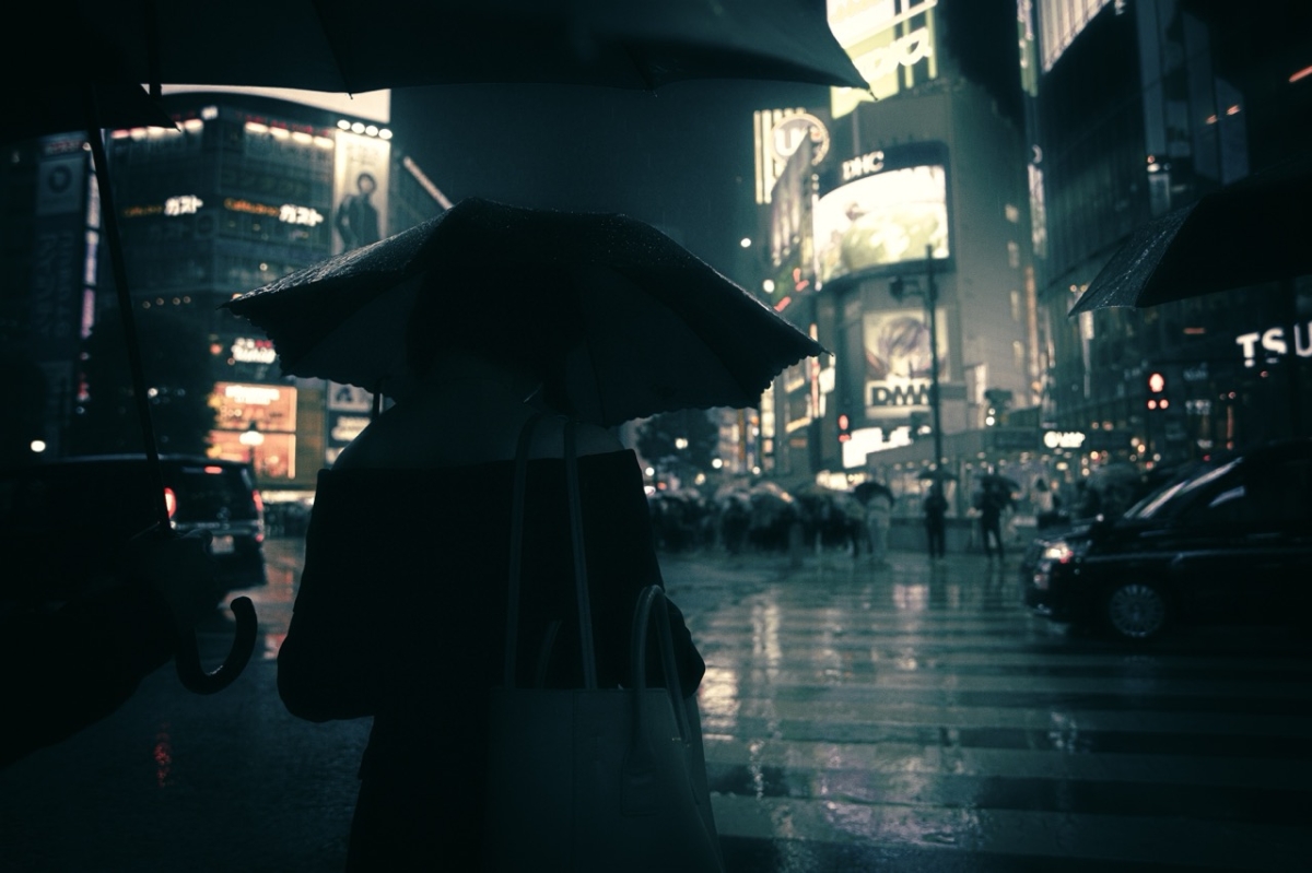 Shibuya Crossing (Japan)