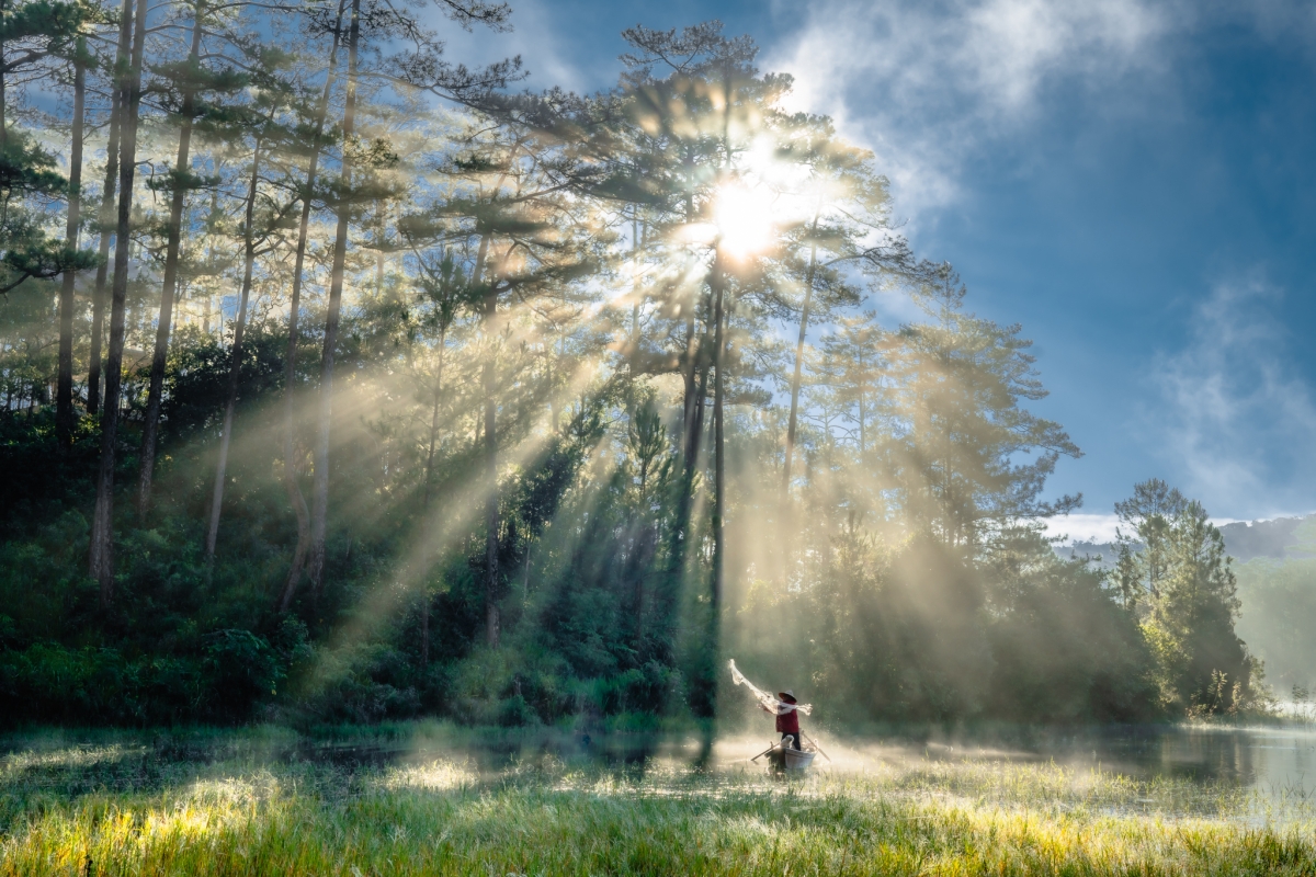 Autumn Sunlight 