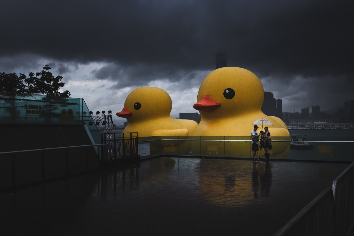 Urban Farewell: A Rainy Morning at Victoria Harbour