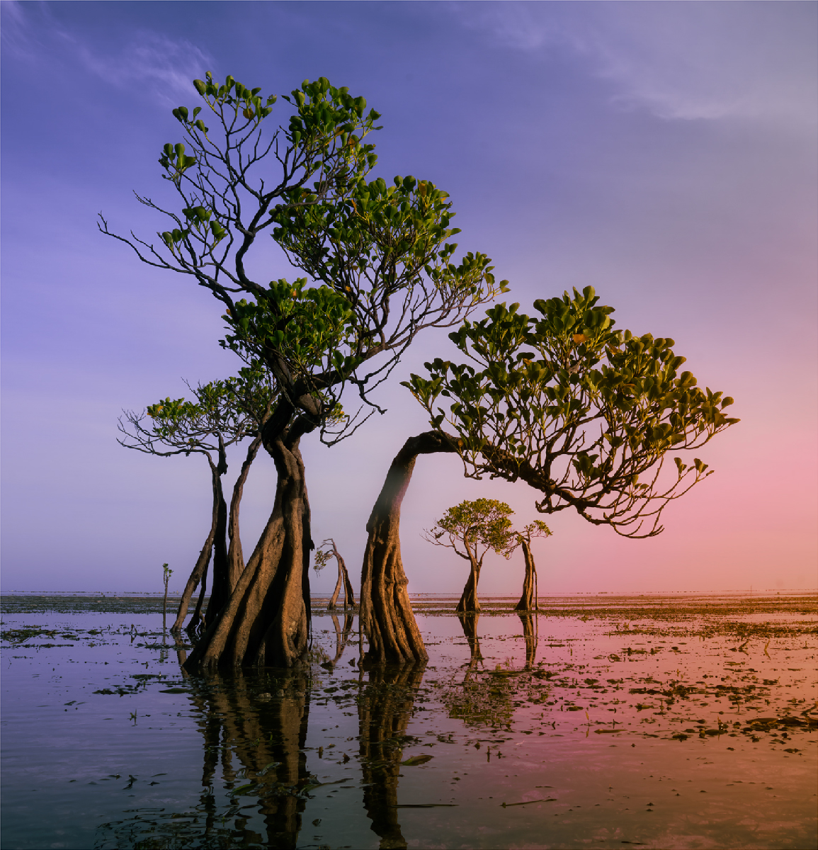 Dancing Trees