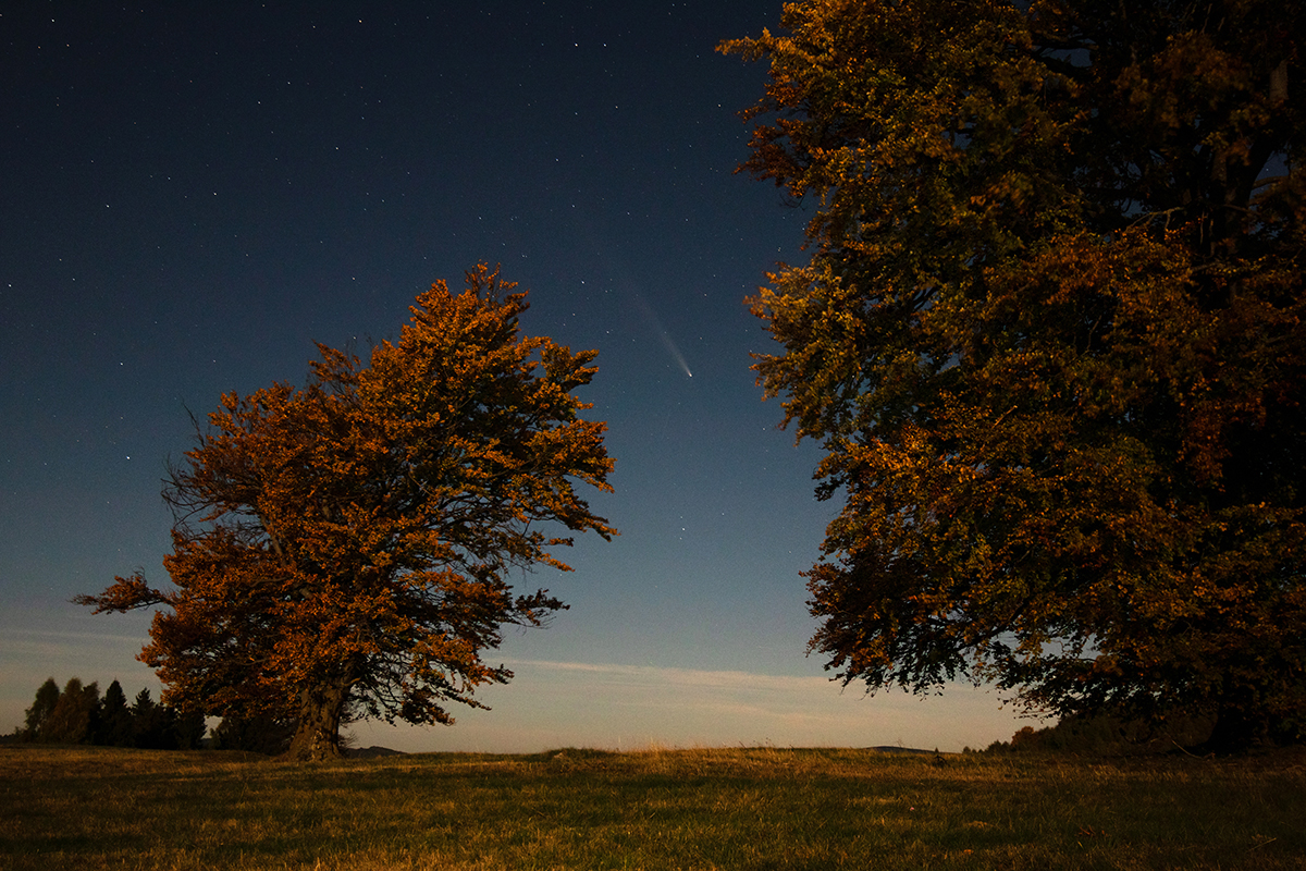 Encounter with a comet