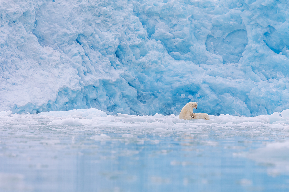 Heart of the Ice