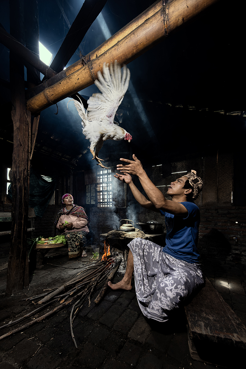 Chicken in the Kitchen