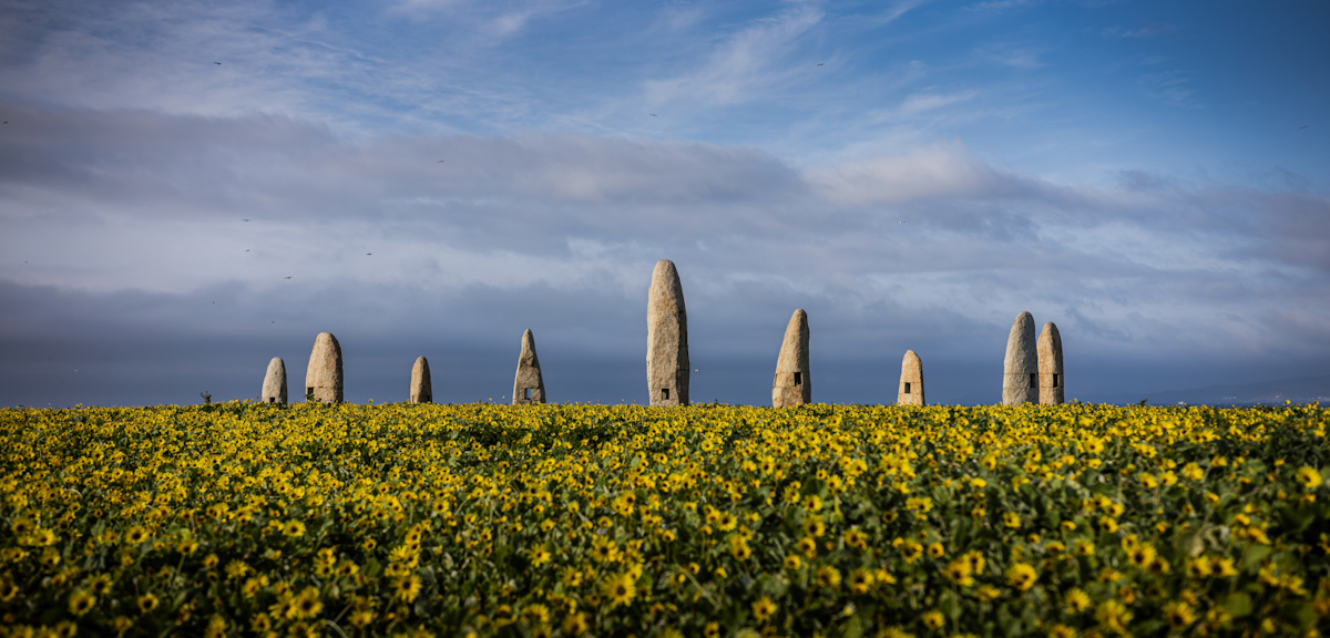 Silent Sentinels