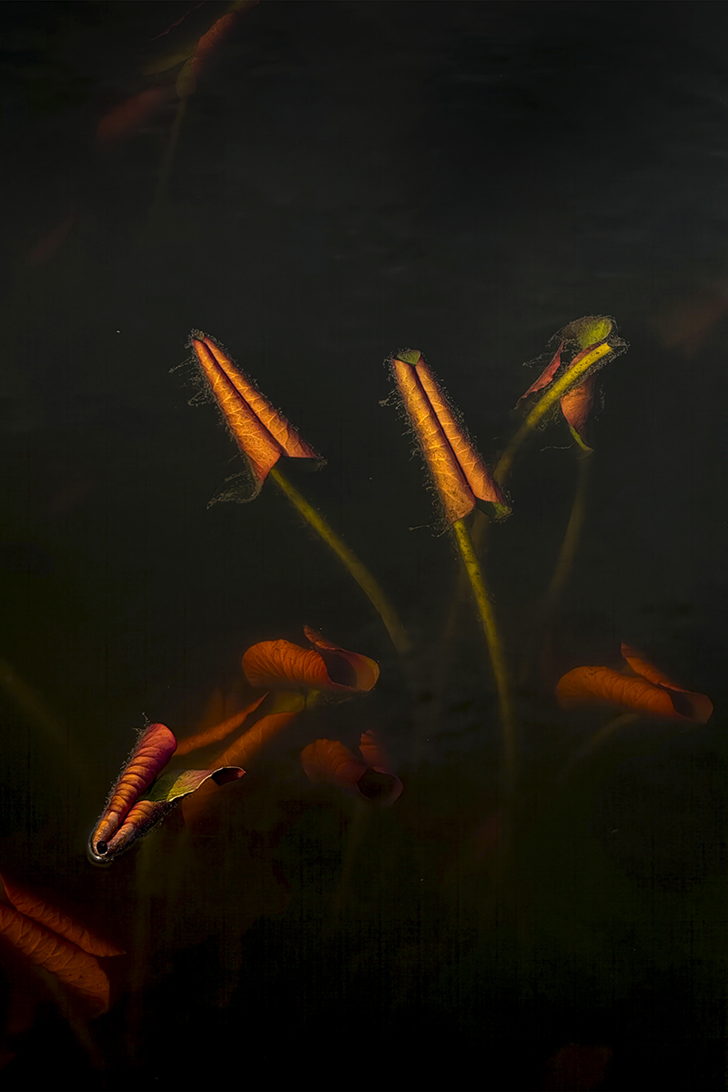 Under Water