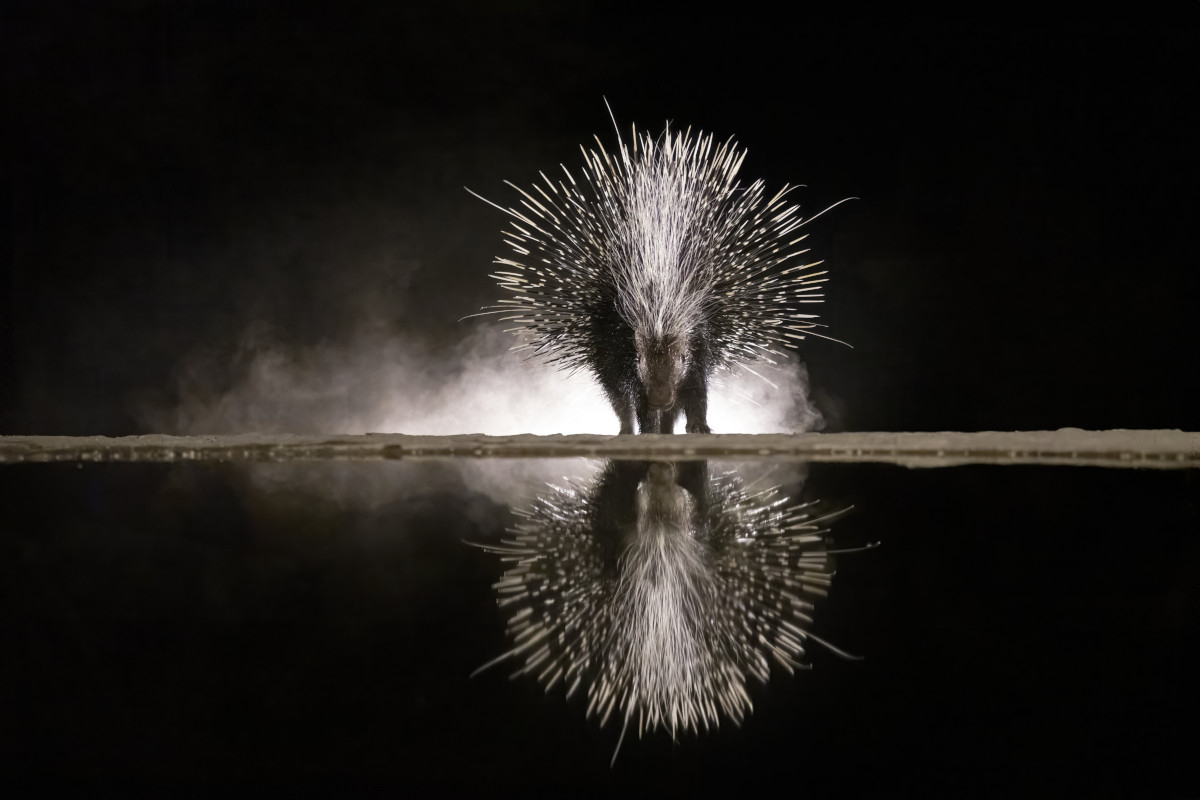 Reflections in the Night 3