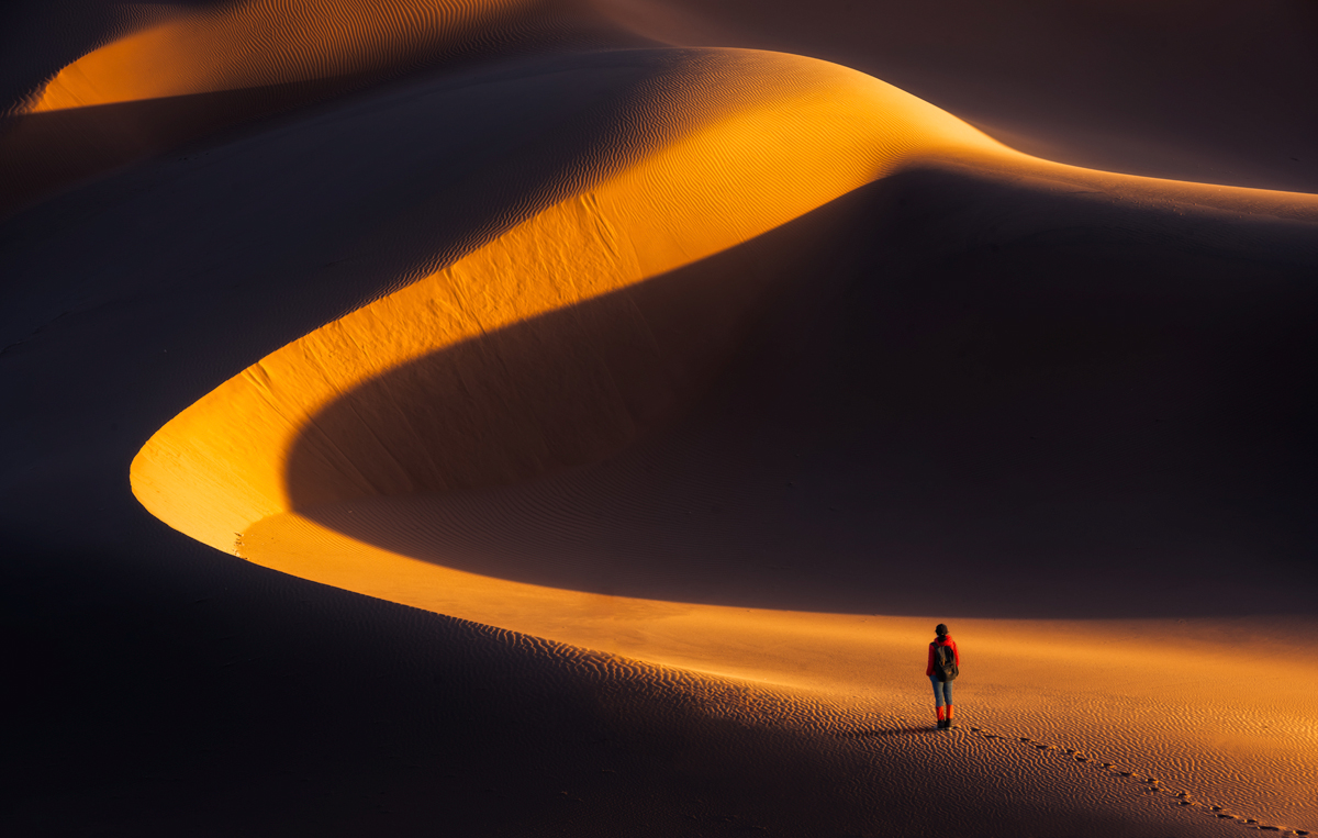 Desert Shadow