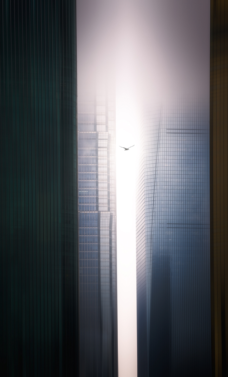 Freedom