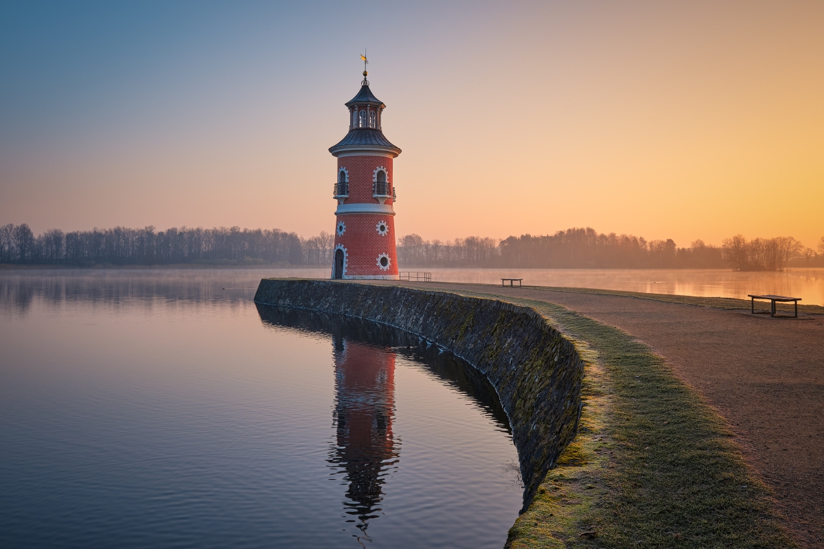In the morninglight