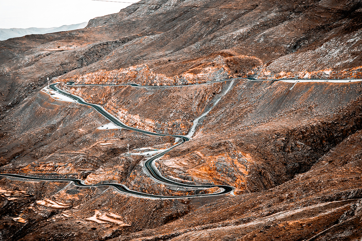 Asphalt Snake